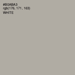 #B0ABA3 - Silver Chalice Color Image